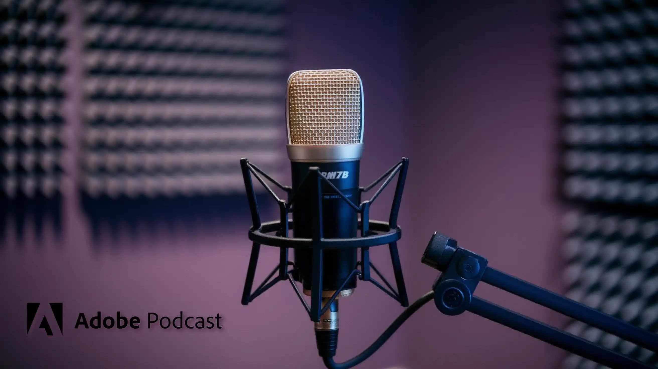 Adobe Podcast، بهترین ابزار برای بهبود کیفیت صدای شما