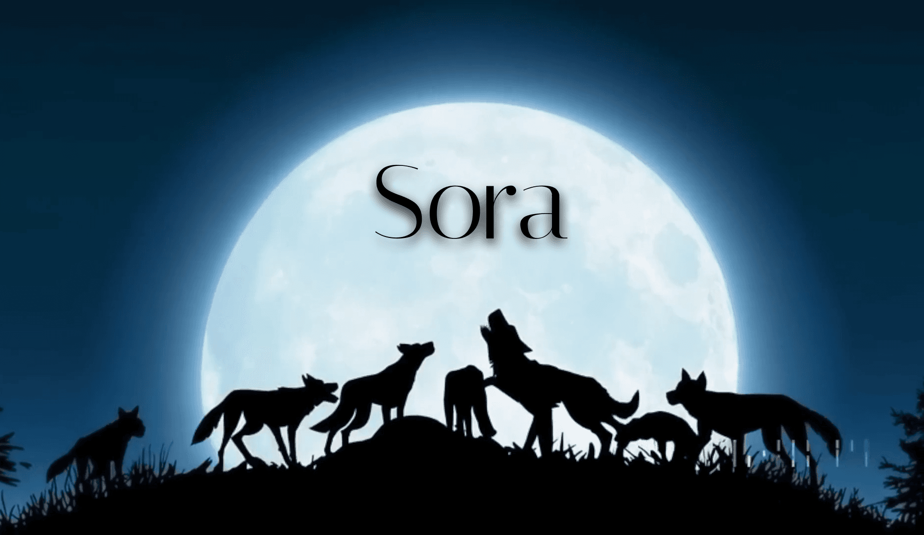 Sora محصول خارق العاده Openai