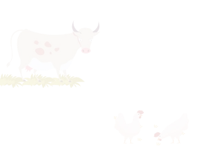 دام‌پروری